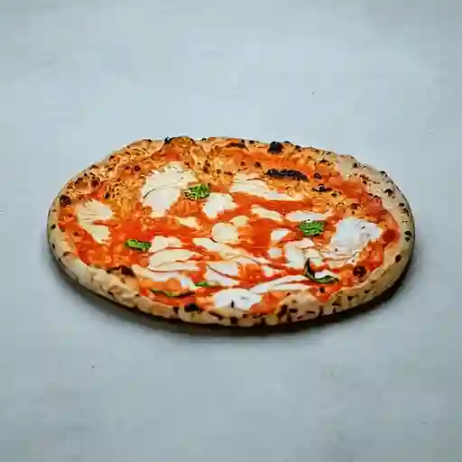 Napolitana Grande 16 Pz