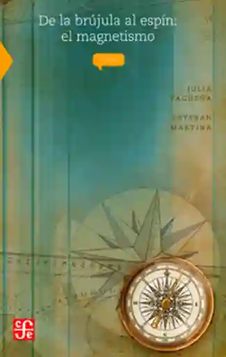 De la Brújula al Espín: el Magnetismo - Varios Autores