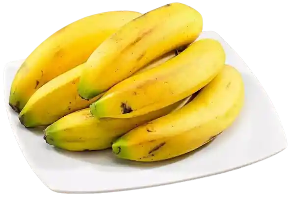 Banano Criollo