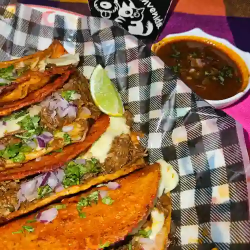 Tacos de Quesabirria (4)