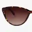 Barner Gafas Sun Astoria Carey