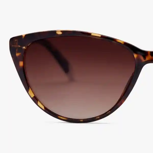 Barner Gafas Sun Astoria Carey