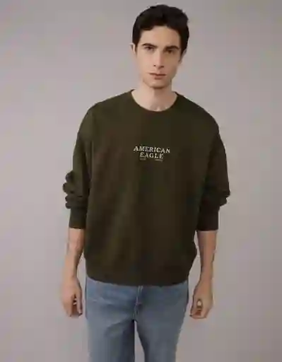 Buzo Hombre Verde Talla MEDIUM 2704309 American Eagle