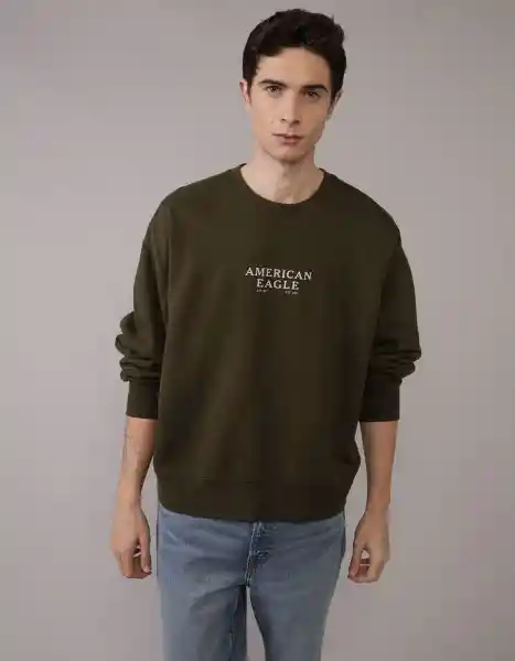 Buzo Hombre Verde Talla MEDIUM 2704309 American Eagle