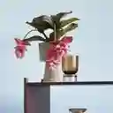 Hubsch Florero Stand Ambar Pequeño
