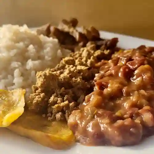 Bandeja Todoterreno
