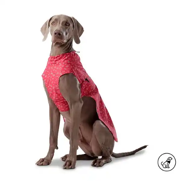 Capa Lluvia Mascota Sussy Rojo Talla L 5RX Totto