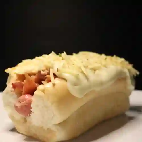 Perro Sencillo