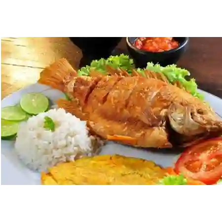 Mojarra Roja Frita O Negra