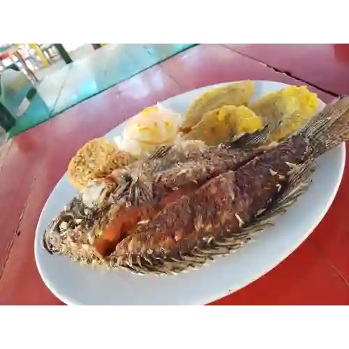 Mojarra Negra