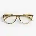 Barner Gafas de Lectura Astoria Verde + 2.00