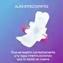Toallas Higiénicas Femeninas Kotex Nocturna Discreta 8 Und