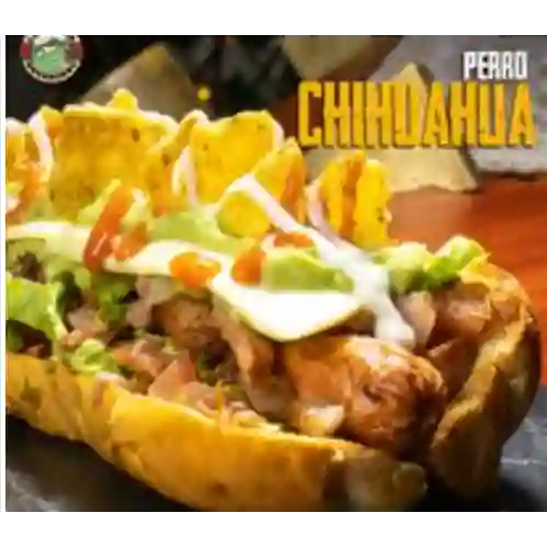 Chihuahua en Combo