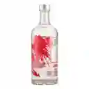 Absolut Vodka Raspberry