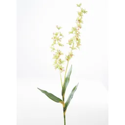 Finlandek Flor Orquídea