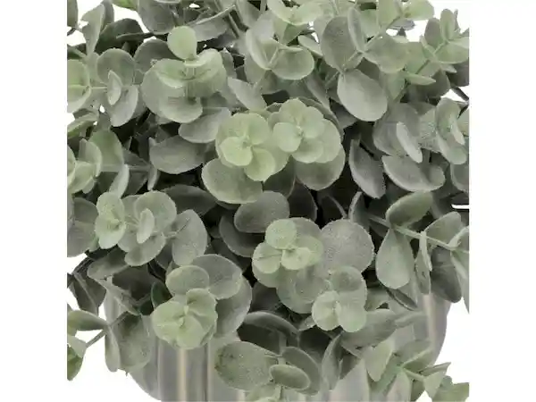 Maceta Con Planta Cerámica Casaideas