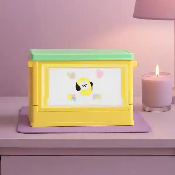 Organizador Minicaja Plegable Puerta Chimmy Serie Bt21 Miniso