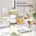 Vino Blanco Sauvignon Blanc Lealtanza Marca Exclusiva 750 Ml