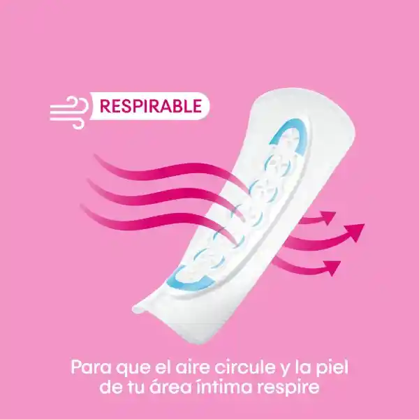 Protectores Diarios Kotex Discretos Big Pack 150 Und