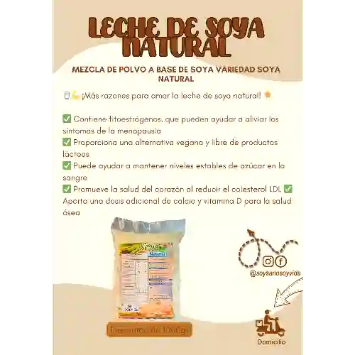 Leche de Soya Natural *1000Gr