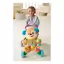 Fisher Price Caminador Perrito Andadera Puppy Hermanito