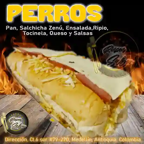 Perro