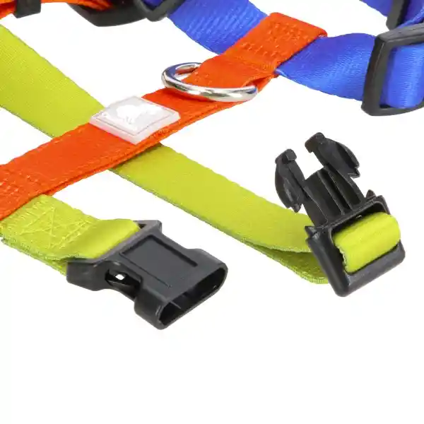 Arnés H Color Ts Diseño 0002 Casaideas