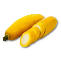 Pepino Calabacin Amarillo