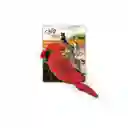 AFP Juguete Para Gato Catnip Birds-4assorted
