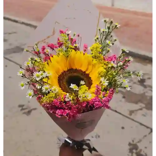 Girasol Fugas