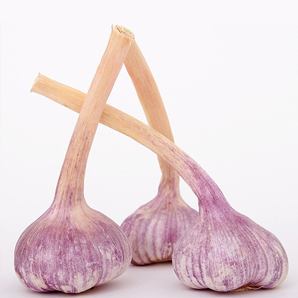 Ajo Chileno 100 g