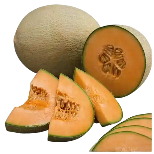 Melón Piel de Sapo