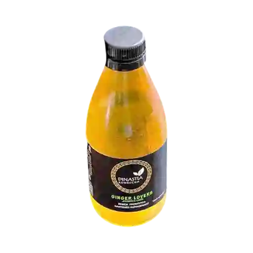Kombucha Dinastia Jengibre