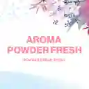 Secret Antitranspirante y Desodorante Mujeres Powder Fresh