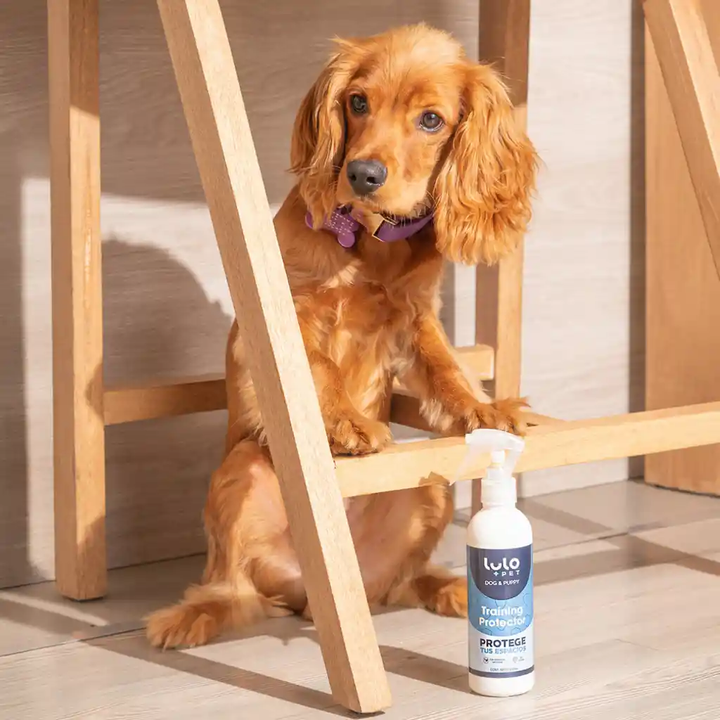 LuloPet Training Protector Dog y Puppy para Perro - 250 ml