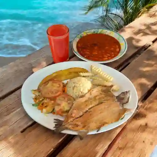 Menú Del Dia