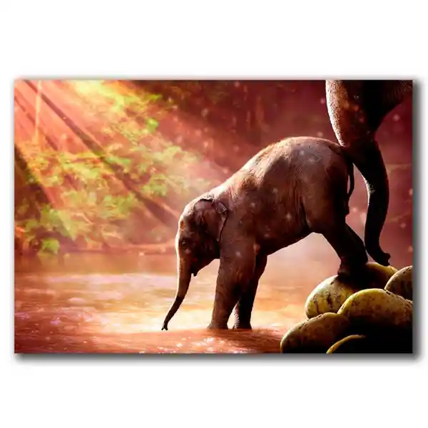 Hogar Venecia Cuadro Elefante Bebé Diseño 70 x 45 cm