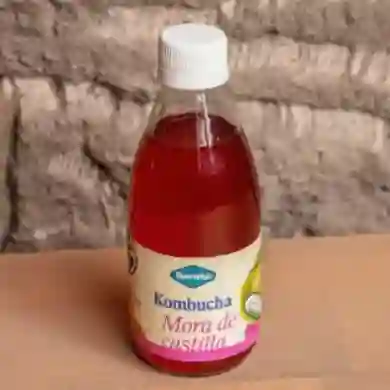 Kombucha 280