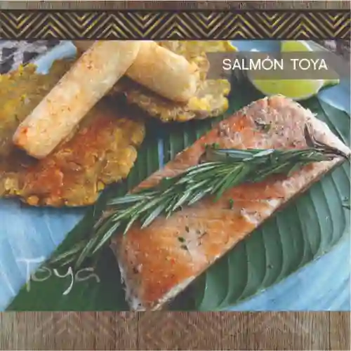 Salmón de Toya