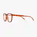 Barner Gafas de Lectura Dalston Cobre + 1.50