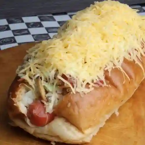 Perro Ranchero