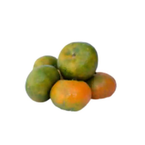 Mandarina Arrayana