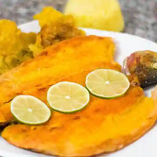 Trucha Al Ajillo