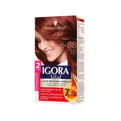 Igora Tinte Vital Castaño Claro Rojizo 5-88 100 mL