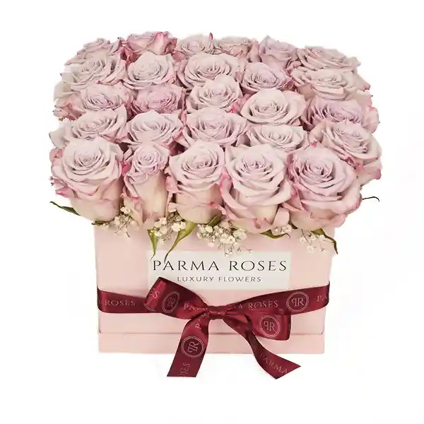 Flores Parma Flowers Caja De Lavander