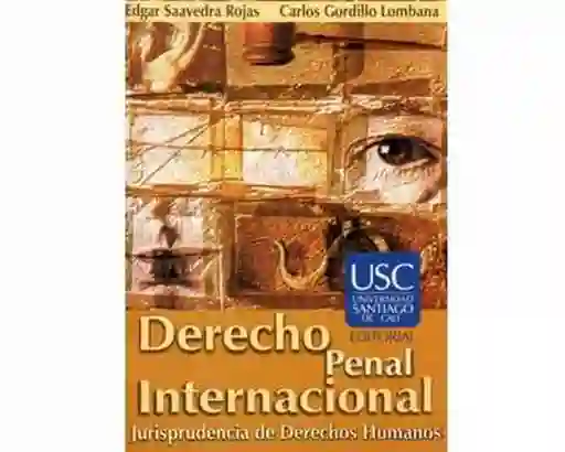 Derecho Penal Internacional. Jurisprudencia de Derechos Humanos