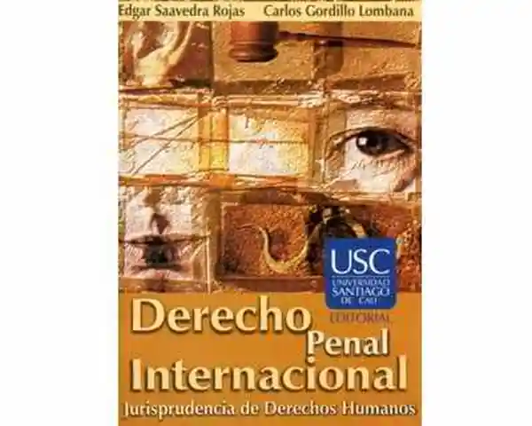 Derecho Penal Internacional. Jurisprudencia de Derechos Humanos