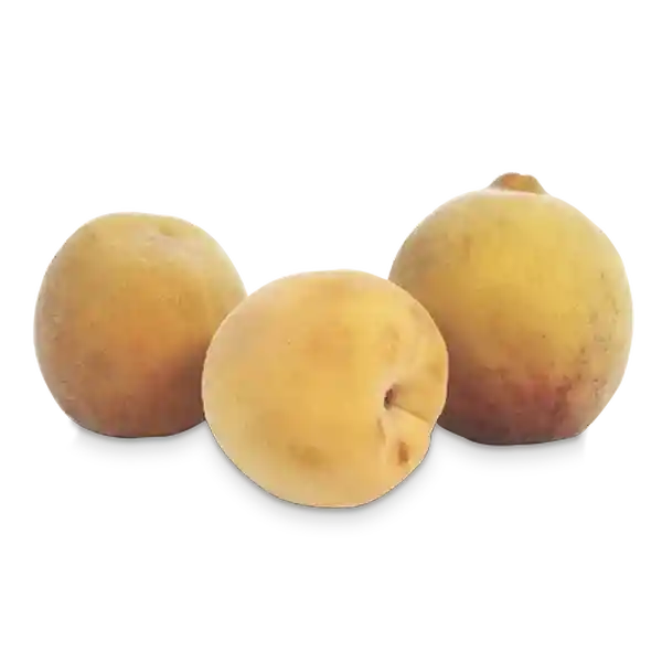 Makro Durazno Común