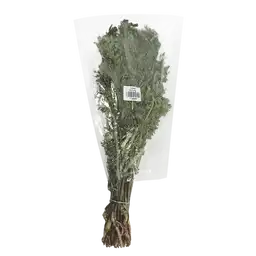Cilantro Fresco