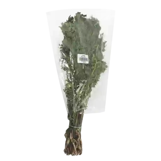Makro Cilantro Fresco
